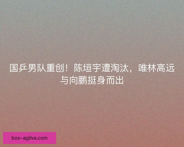 国乒男队重创！陈垣宇遭淘汰，唯林高远与向鹏挺身而出