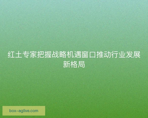 红土专家把握战略机遇窗口推动行业发展新格局